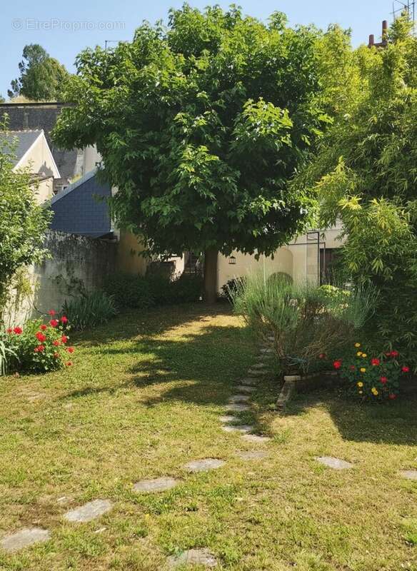 Maison à AMBOISE