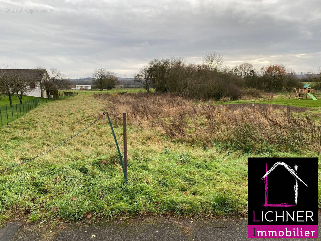 Terrain à ALTVILLER