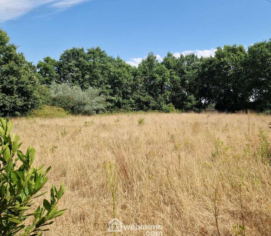 Maison 75 m² à Saint-Georges-De-Pointindoux  - photo 6
