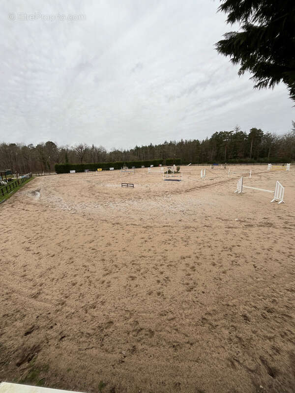 Maison à LIGNY-LE-RIBAULT
