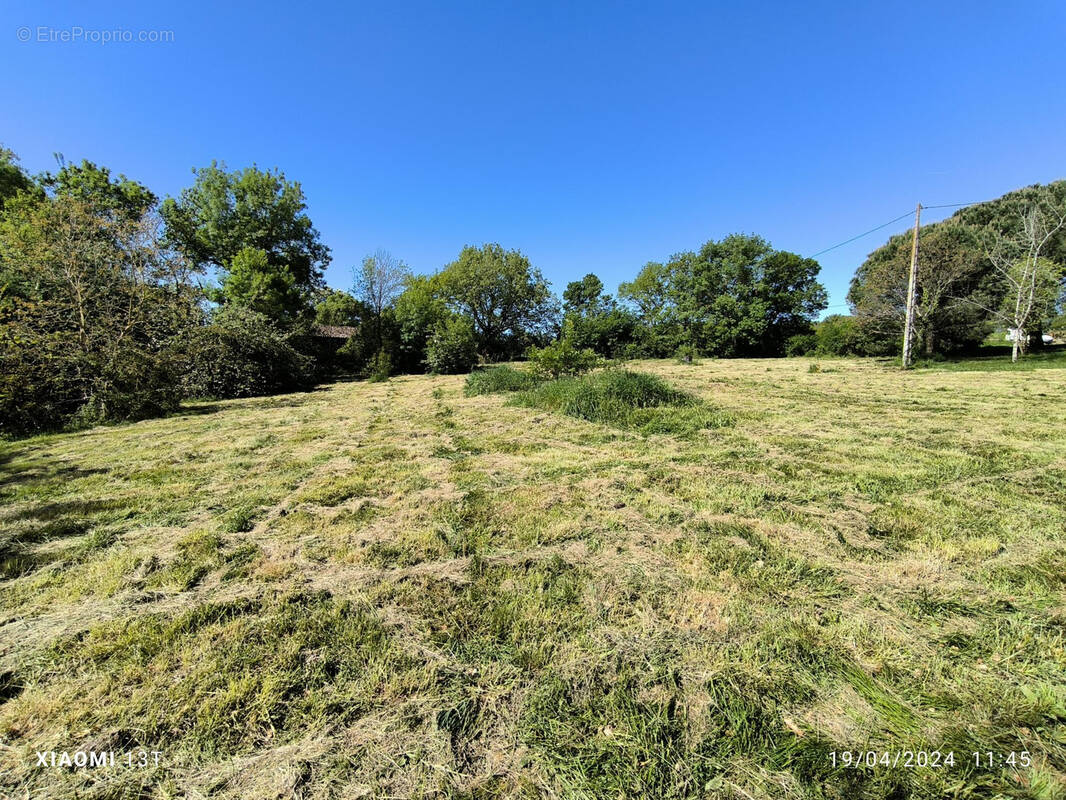 Terrain à POLASTRON