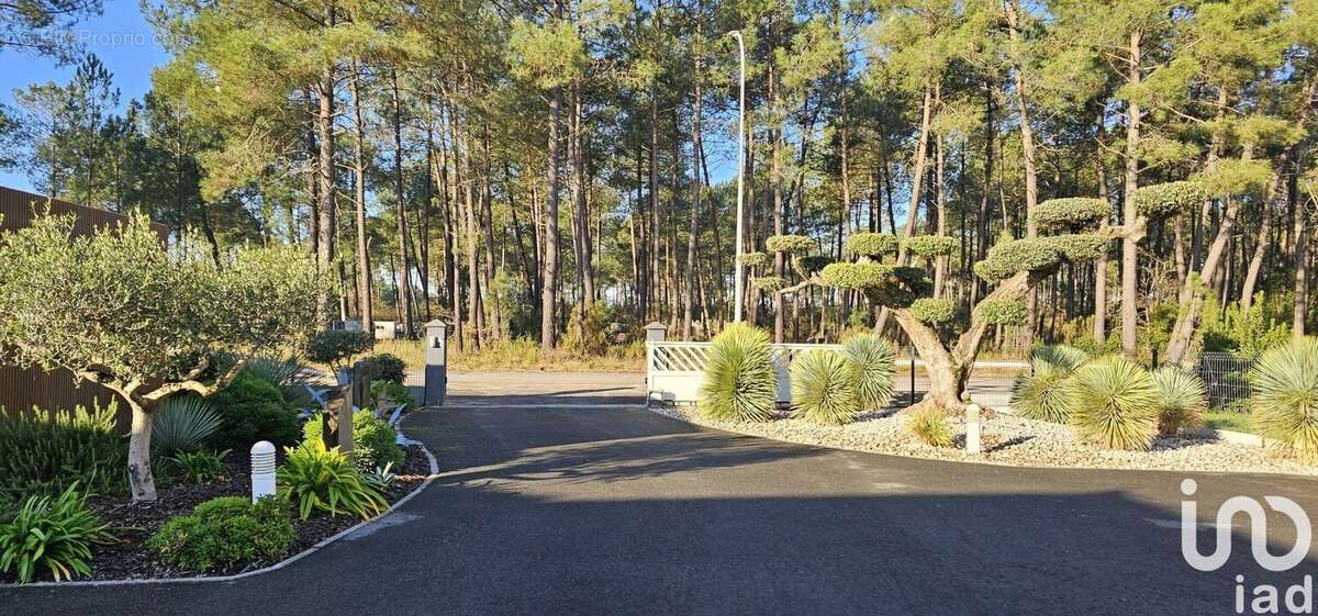 Photo 6 - Commerce à GUJAN-MESTRAS