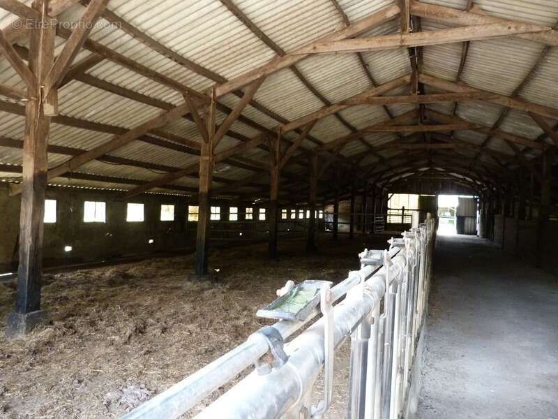 domaine agricole de 70 hectares d’un seul tenant avec bâtiment agricole et hangar - photo 9
