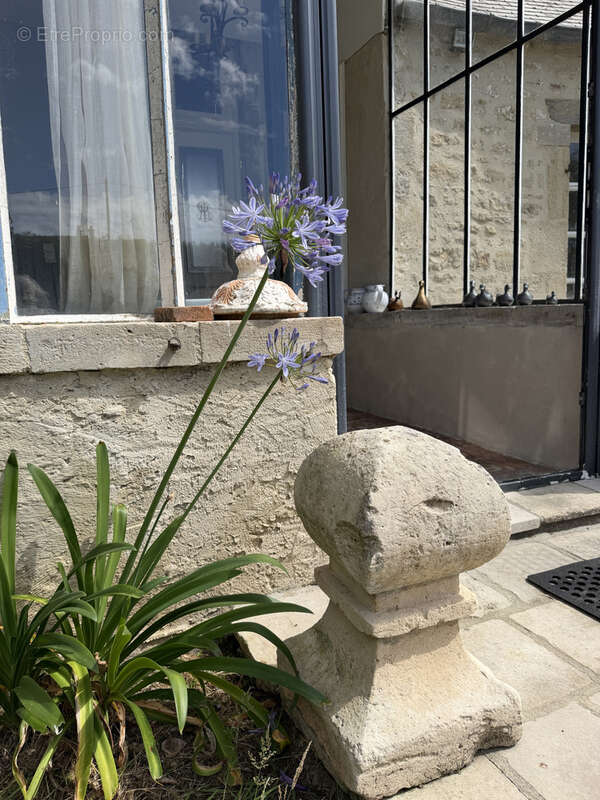 Superbe hotel particulier en plein coeur de valognes - photo 28