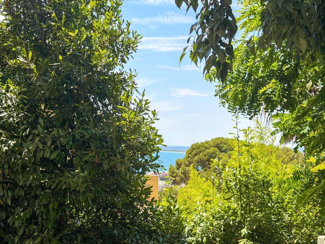 Maison - Saint-Clair SUD - photo 2
