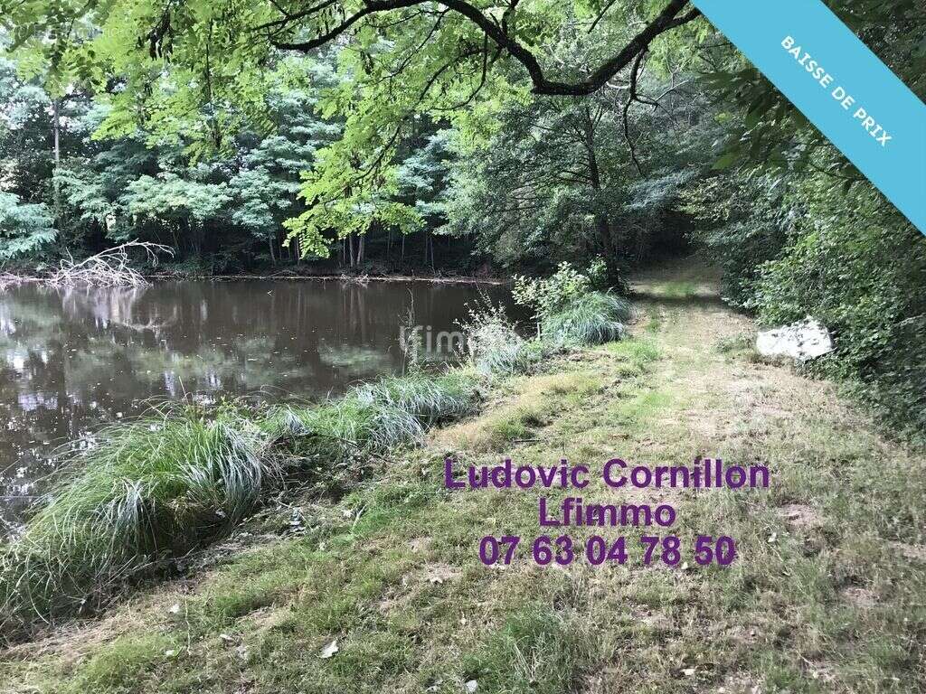 Propriété de charme 210m2, grange, 4ha, 2 étangs - photo 20