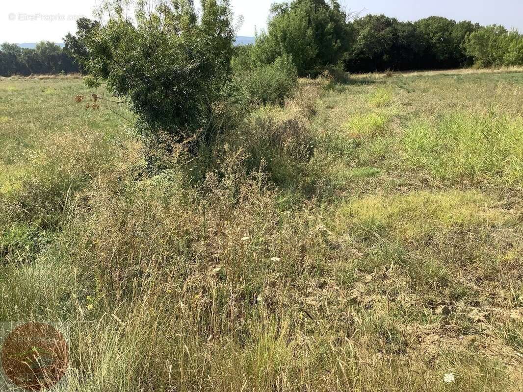 Tres beau terrain constructible de 3595m² - photo 3