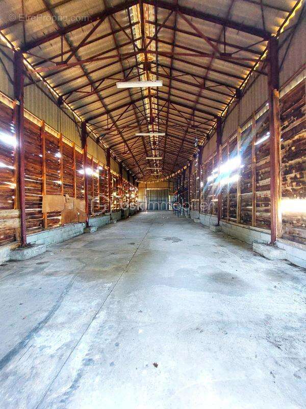 Belle propriété - photo 13