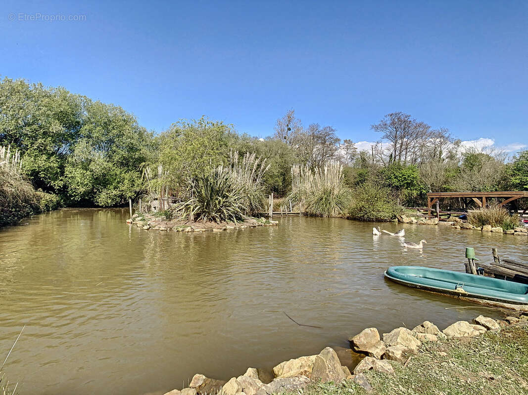 Maison à LA HAYE-D&#039;ECTOT