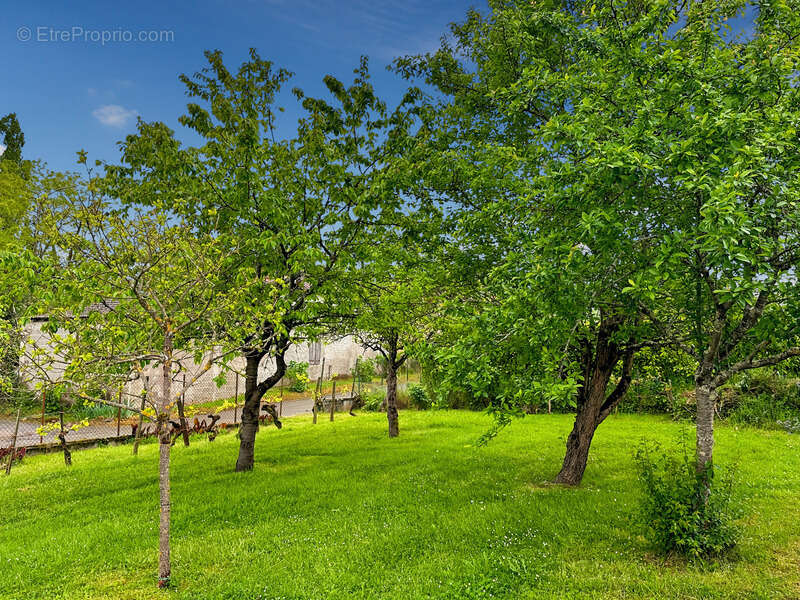 Maison à vendre de 155 m2 de surface habitable à LADEVEZE RIVIERE (32) avec 3330 m2 de jardin - photo 29