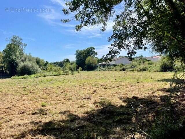 Terrain à MOUTIERS-LES-MAUXFAITS