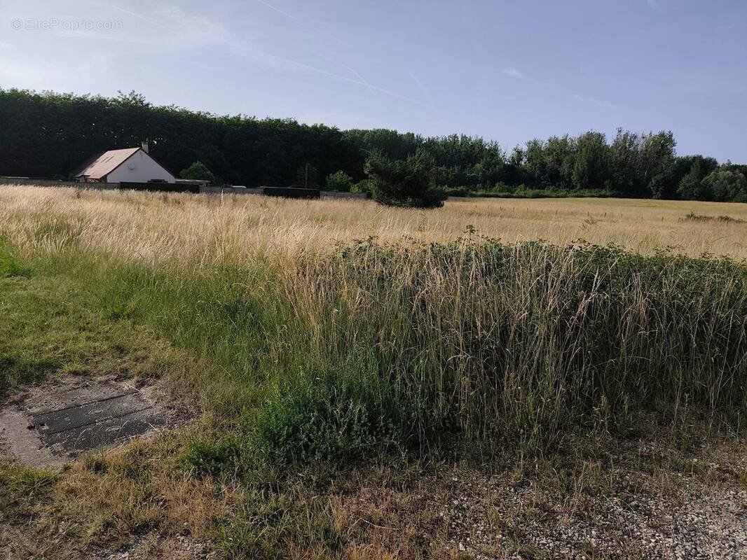 Photo 1 - Terrain à MAREUIL-SUR-CHER