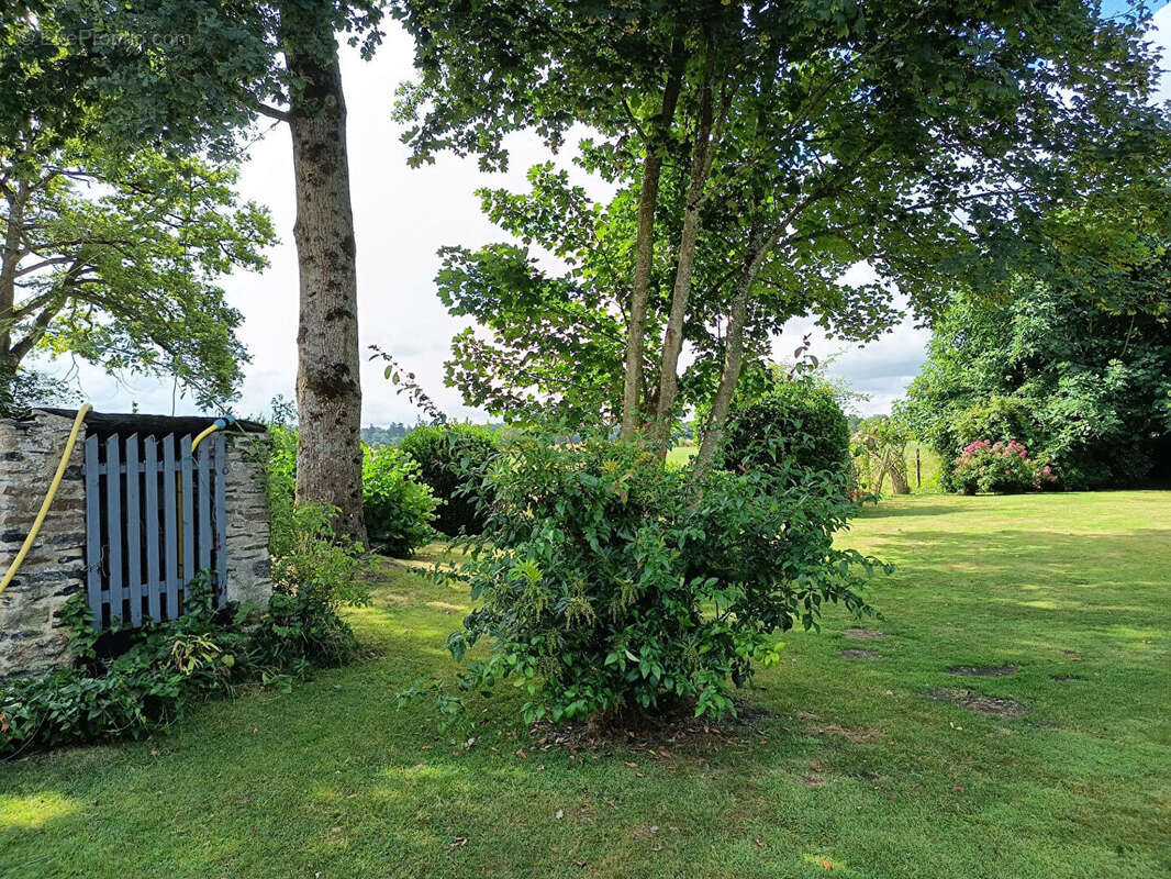Maison à SAINTE-GEMMES-D'ANDIGNE