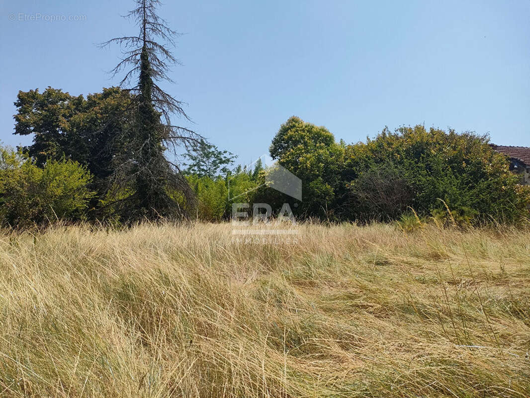 Maison à vendre à Saint Christoly de Blaye - 6 pièces, 236 m² sur 2700 m² de terrain - photo 3