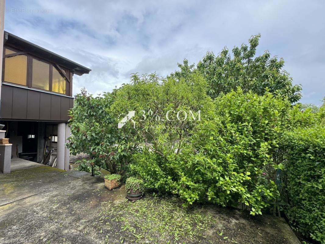 Maison à HOCHFELDEN