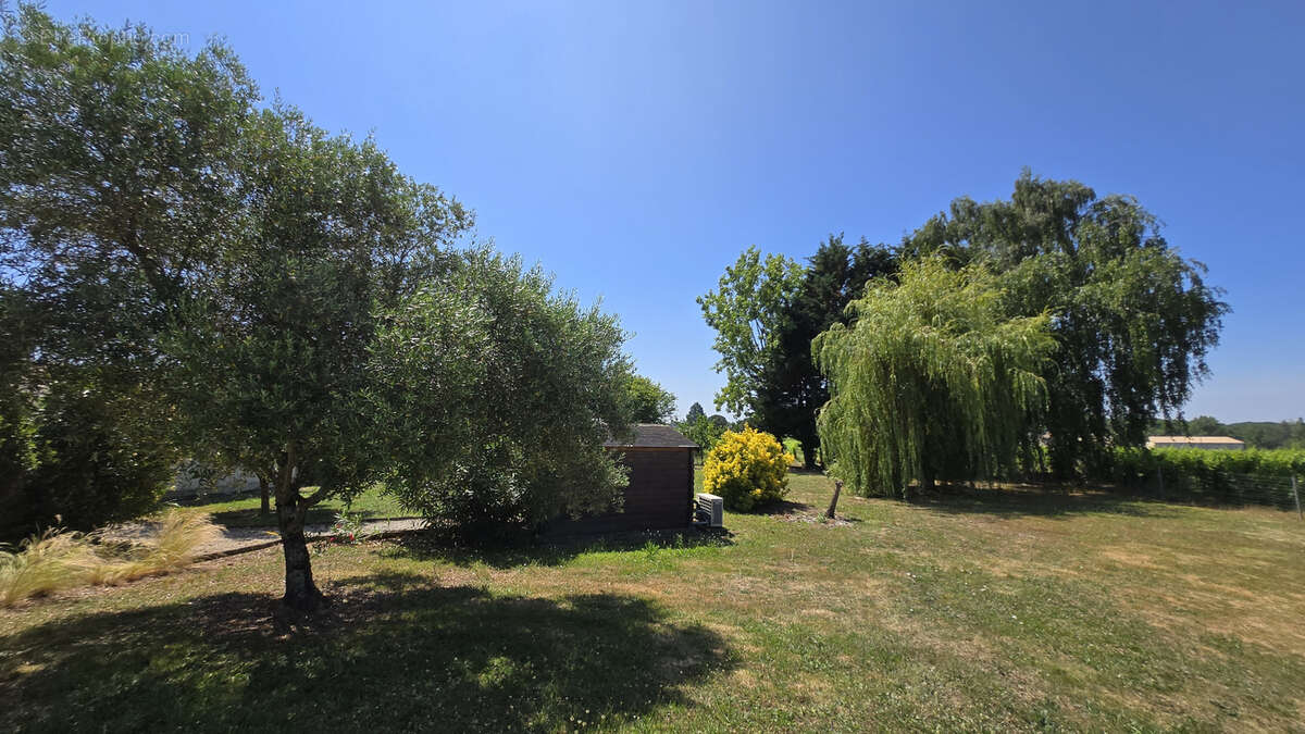 Maison à PUISSEGUIN