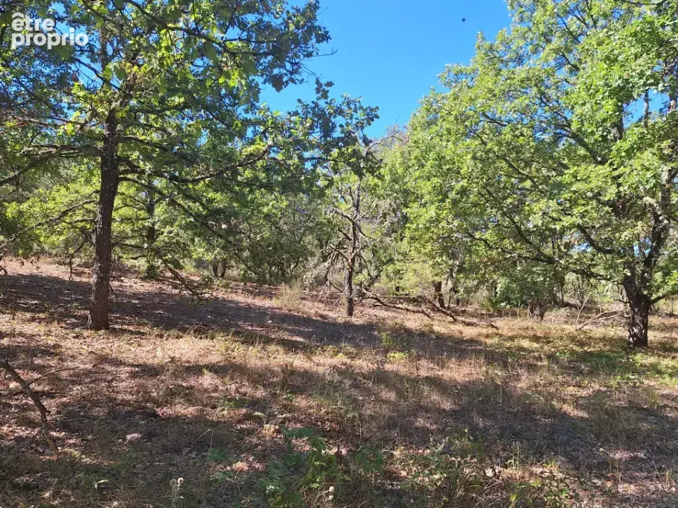 Terrain 468 m² à vendre à Valensole (04210) - photo 4