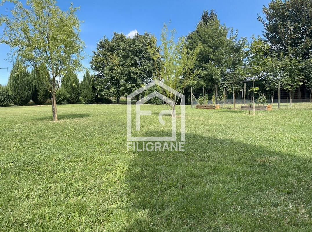 Terrain à SCHNERSHEIM