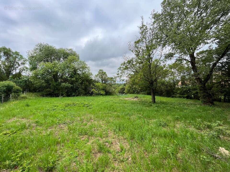 Terrain à VILLENEUVE-LA-COMPTAL