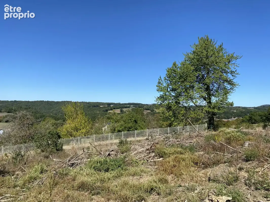 Terrain 13 287 m² à vendre à Neuvic-Entier (87130) - photo 5