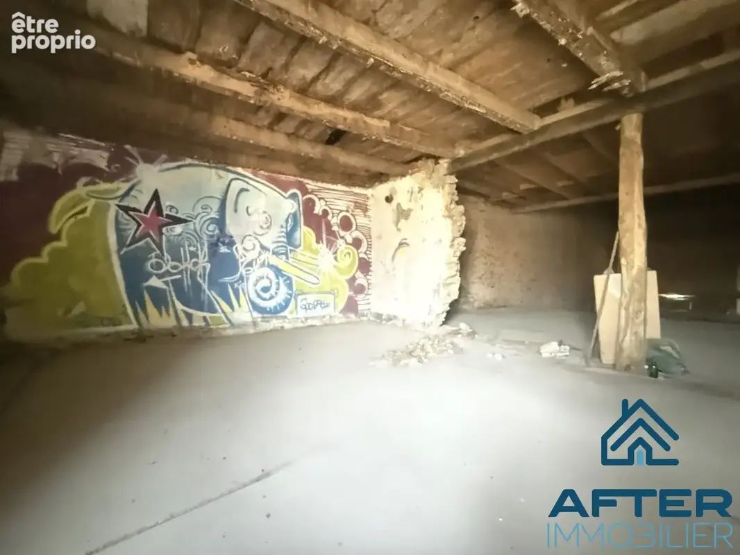 Maison 2 pièces 300 m² à vendre à Xermamenil (54300) - photo 3