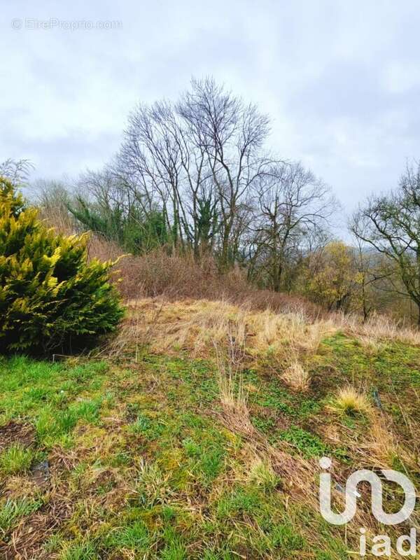 Photo 4 - Terrain à LONGUYON
