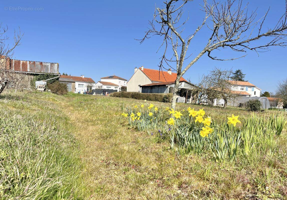 Terrain à PONT-SAINT-MARTIN