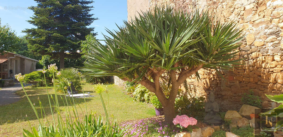 Maison à PAIMBOEUF