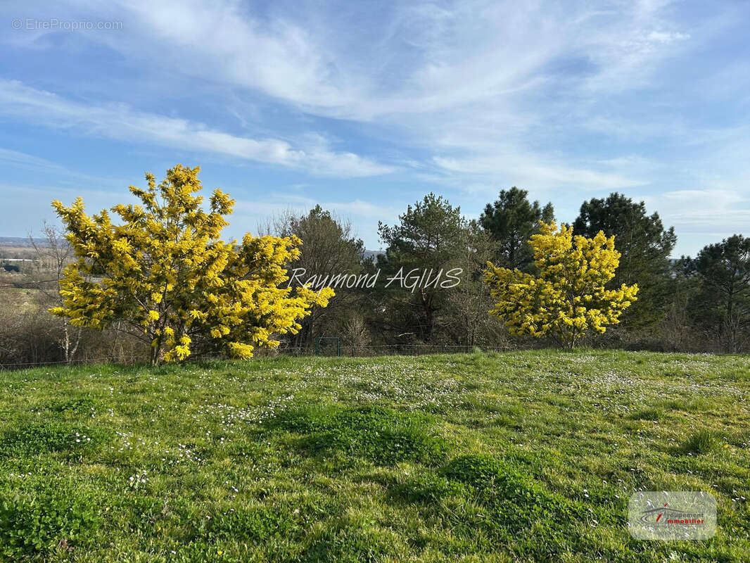 Maison à SAINT-EMILION