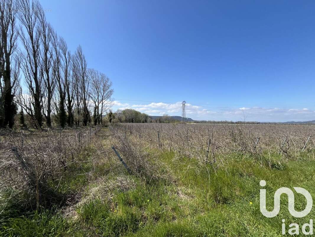 Photo 2 - Terrain à CODOLET