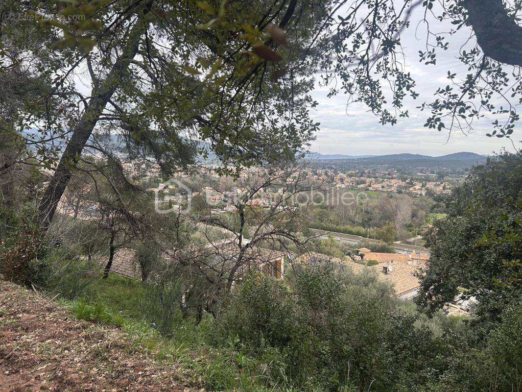 Terrain à SOLLIES-VILLE