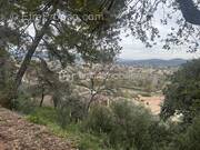 Terrain à SOLLIES-VILLE