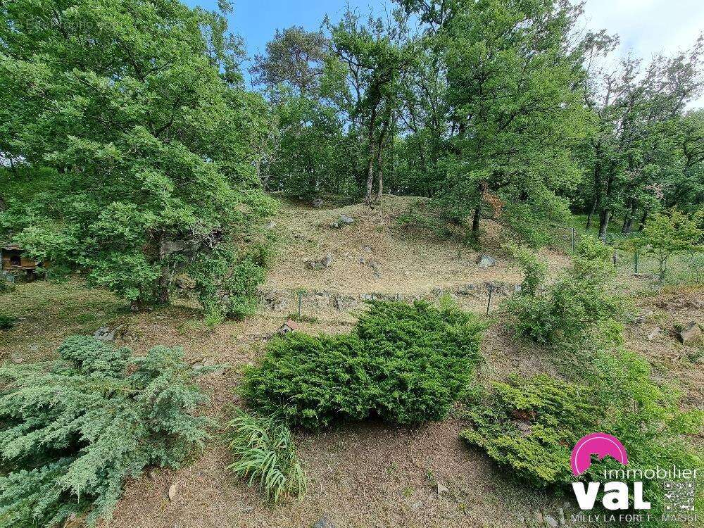 Maison à MILLY-LA-FORET
