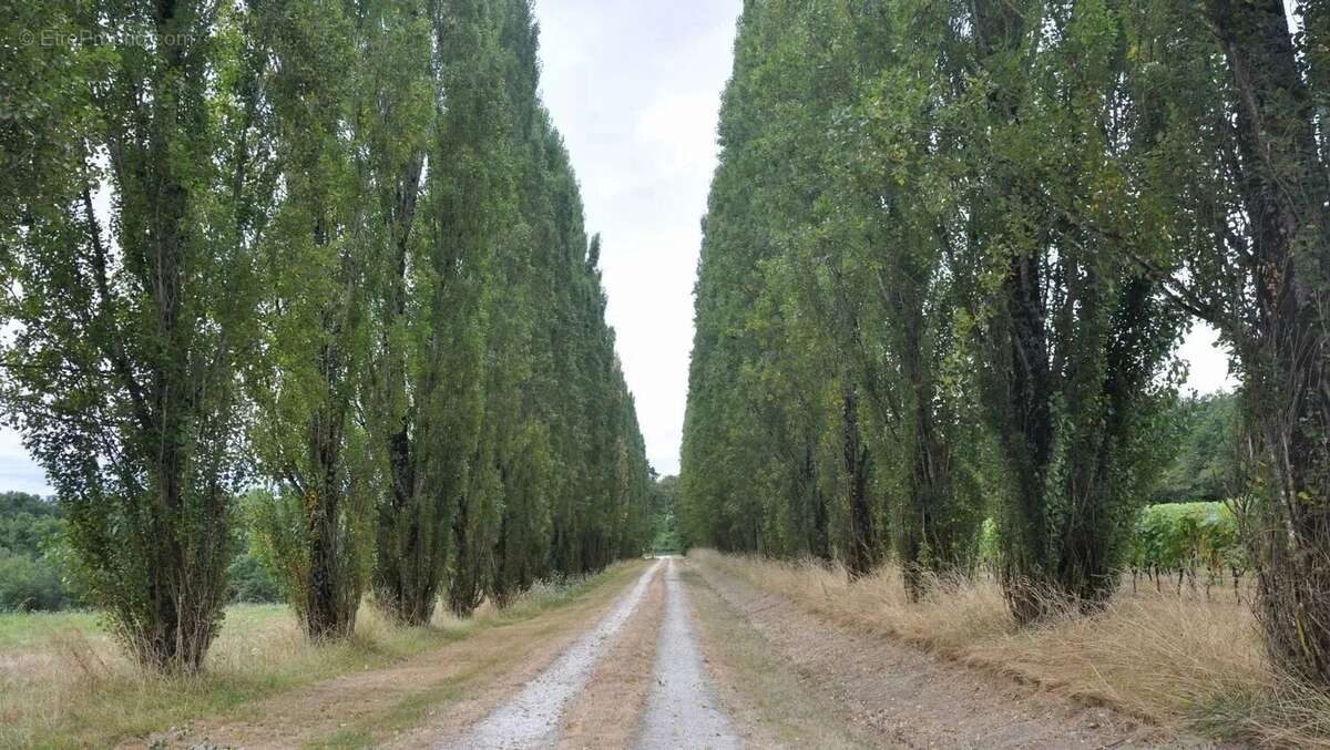 Maison à AUBETERRE-SUR-DRONNE