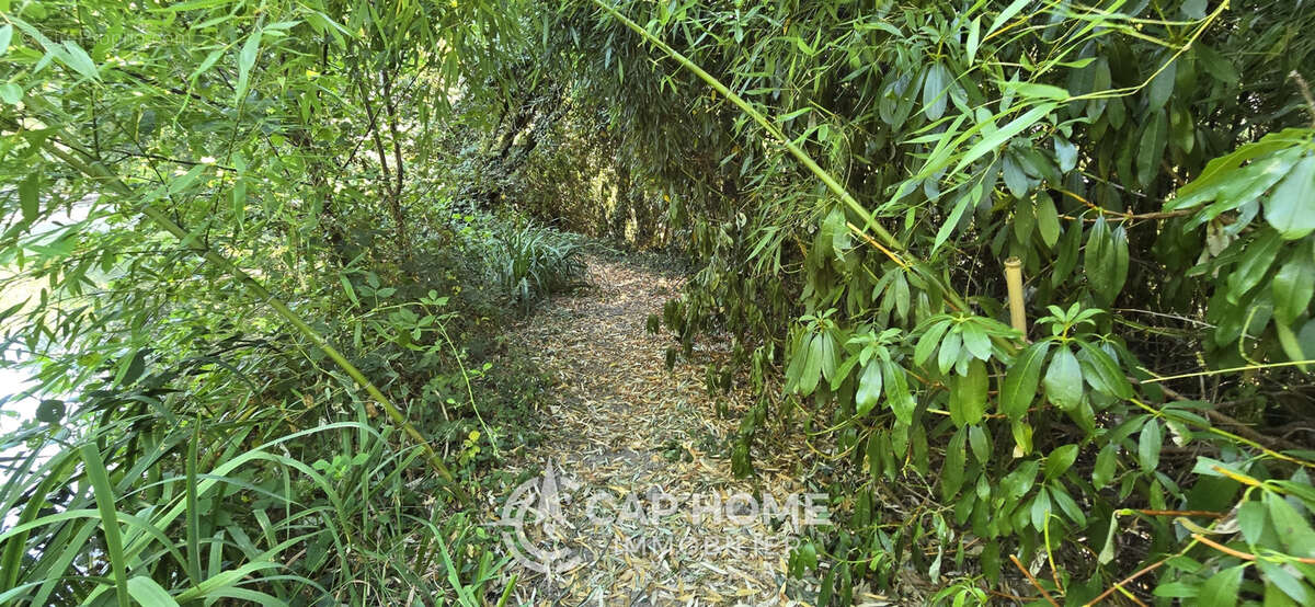Terrain de loisirs - photo 12