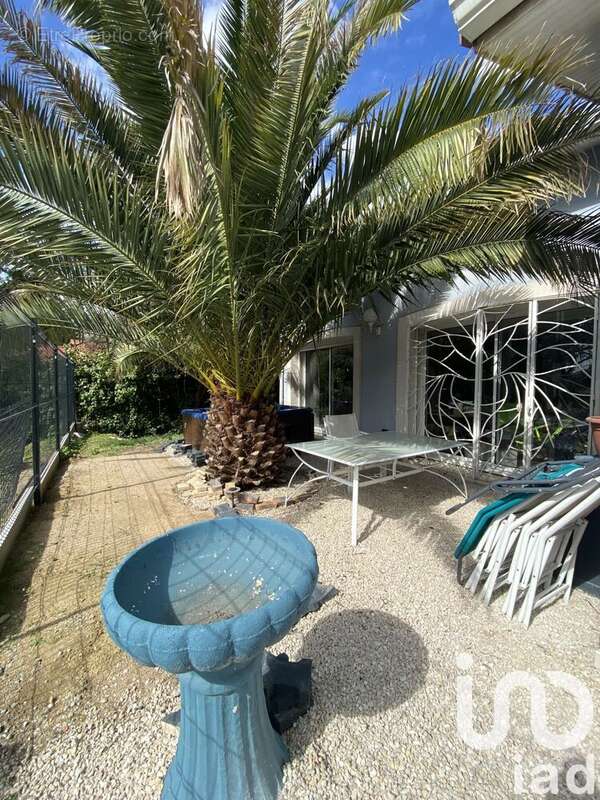 Photo 2 - Appartement à TOULOUSE