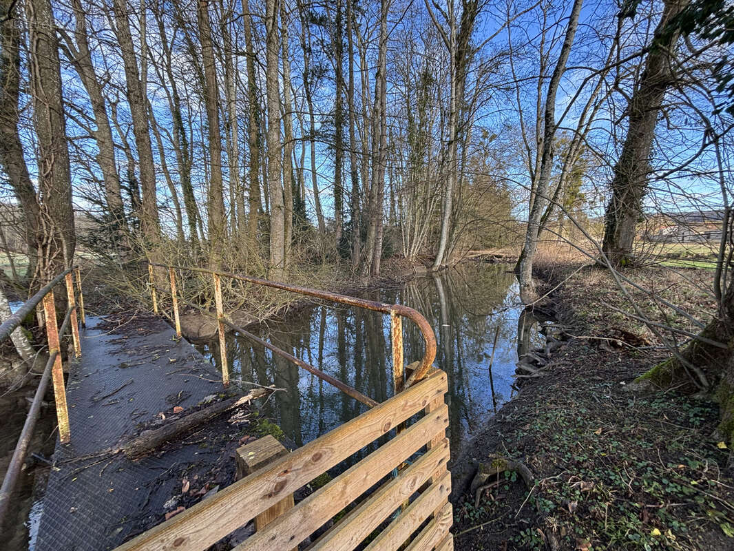 Au coeur du parc national à 9km de CHATILLON SUR SEINE ( 21)  :habitation de 450 M2 avec 1,5HA bord d'eau - photo 13