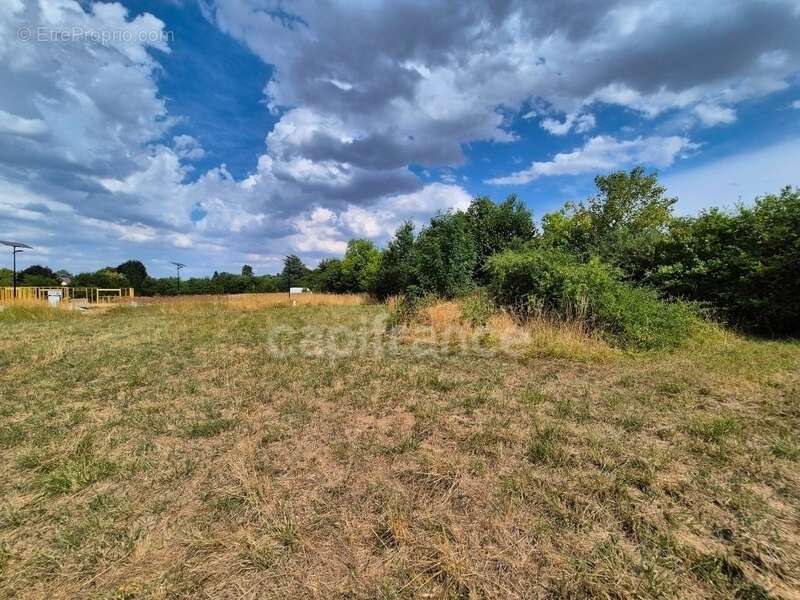 Terrain à bâtir viabilisé 553,00 m² - Libre Constructeur - photo 3