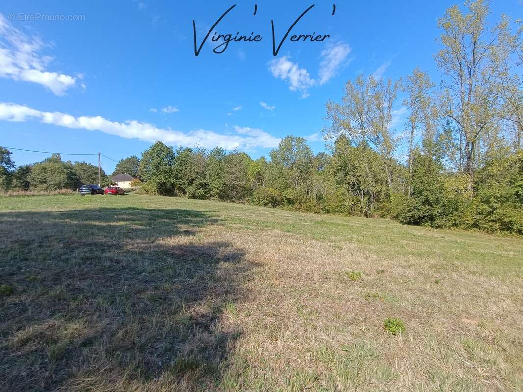 Terrain à BRIGNAC-LA-PLAINE