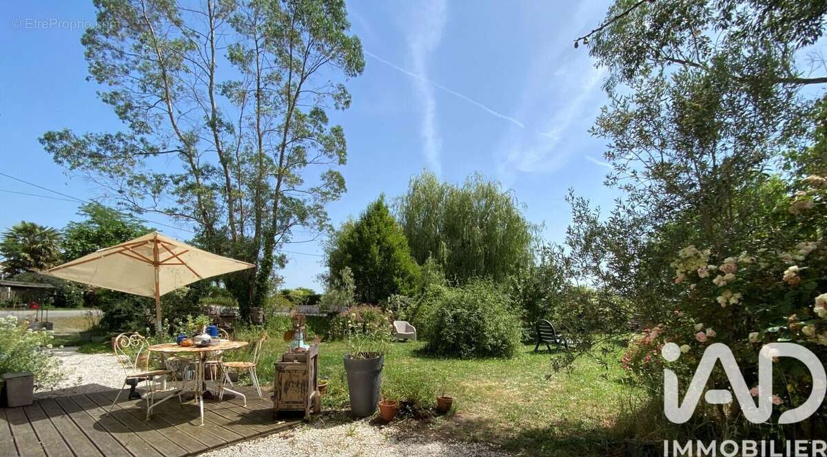 Photo 2 - Maison à MONNIERES