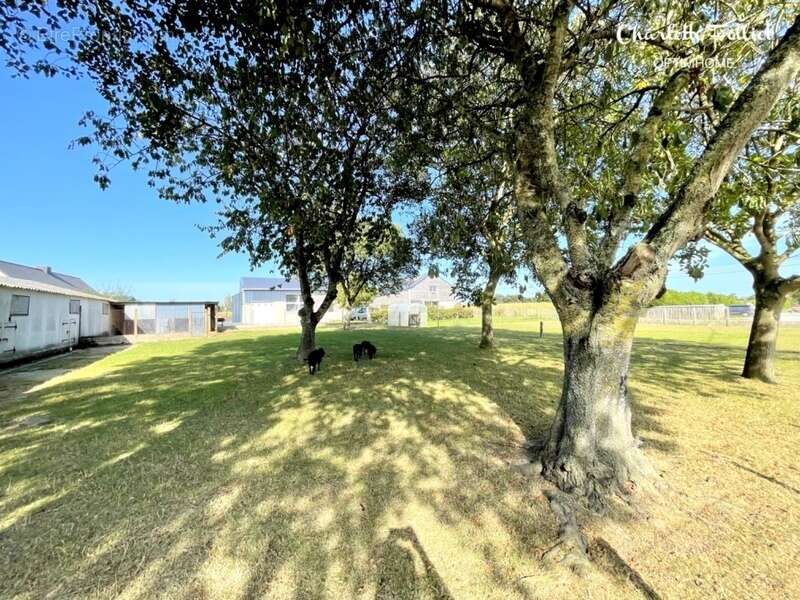 Maison à SAINT-LORMEL