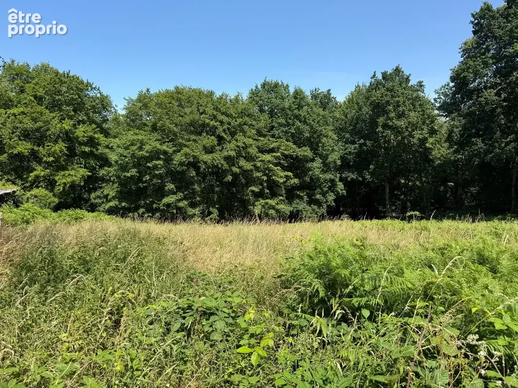 Terrain à vendre de 3 250,00 m² SAINT MARTIN DU VIVIER (76) - photo 3