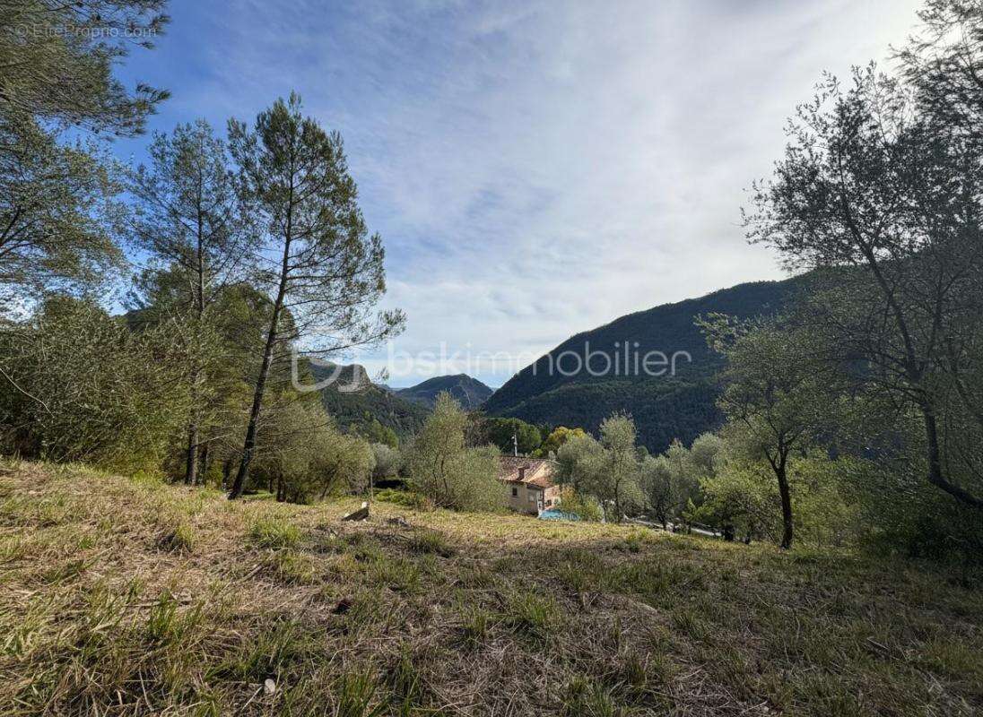 Rare à Pierrefeu : 3 046 m² de nature dont 1 084 m² constructibles, accès direct et étude de sol déjà réalisée - photo 10