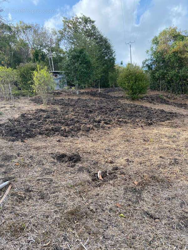 Terrain à LES TROIS-ILETS