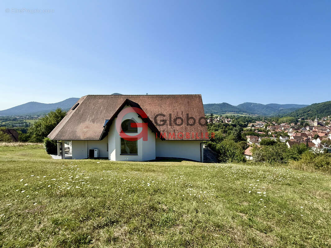 Maison à VILLE