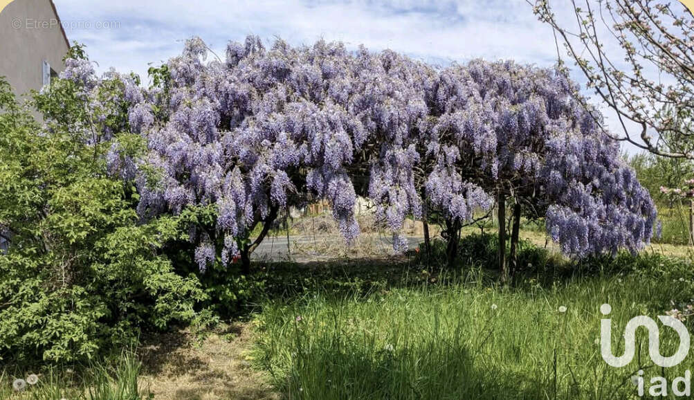 Photo 4 - Maison à MONTGUYON