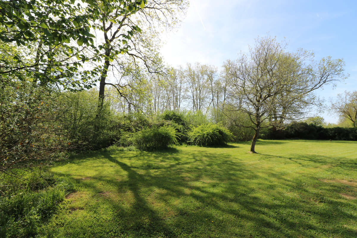 Belle Villa Atypique dans son parc Arboré, piscine chauffée 10x5 + Terrain constructible avec verger - photo 32
