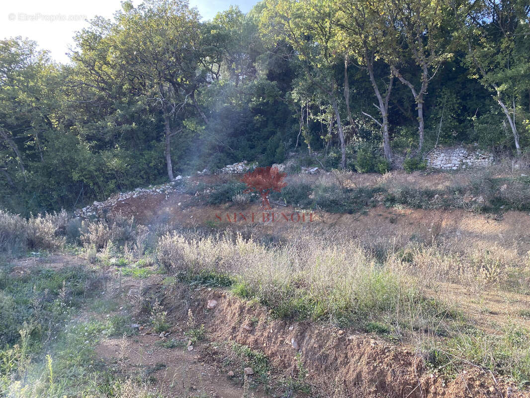 Terrain à CLERMONT-L'HERAULT