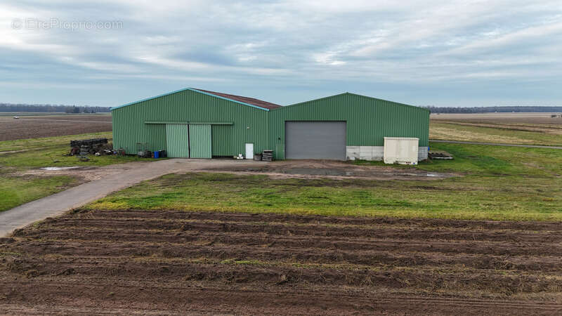 Maison à STRASBOURG