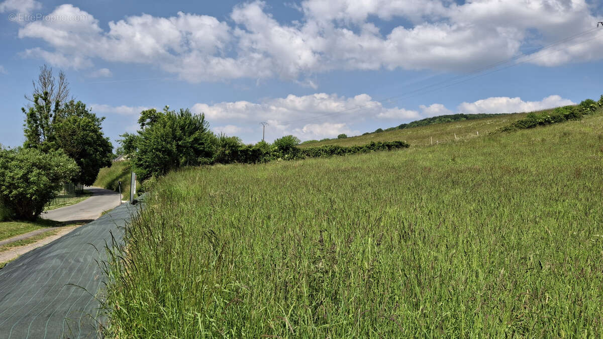 Terrain à TORCY-LE-PETIT